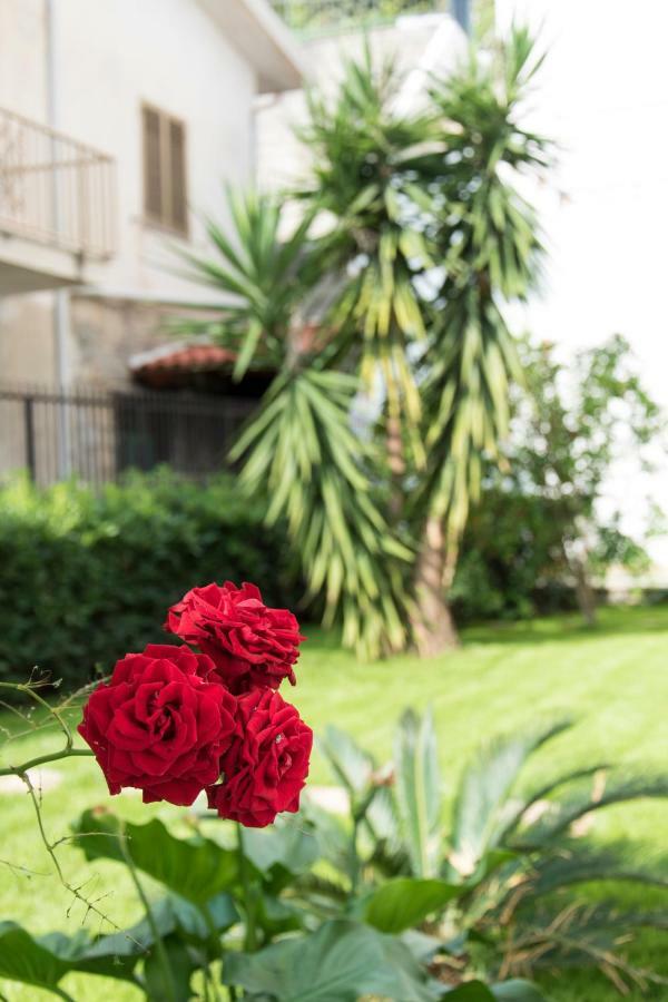 L'Oasi Di Giorgia Bed and Breakfast Cittadella del Capo Eksteriør billede